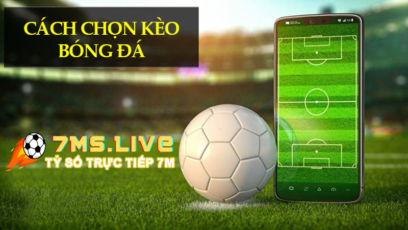 Bắt các kèo chính liên kết nhau