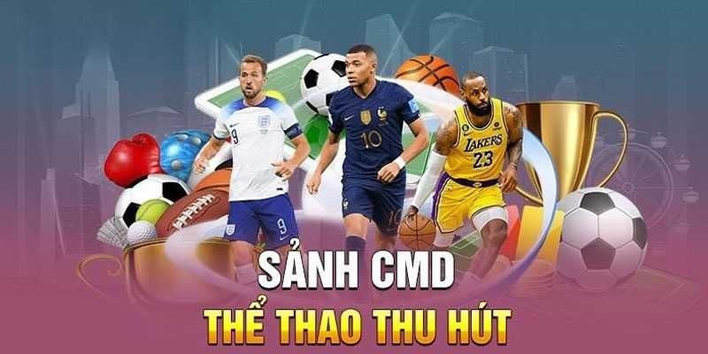 CMD Sport - Nhà cung cấp thể thao chuyên nghiệp