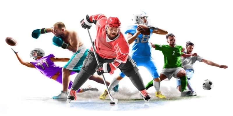 Tổng quan về thể thao Zinvip đặc sắc