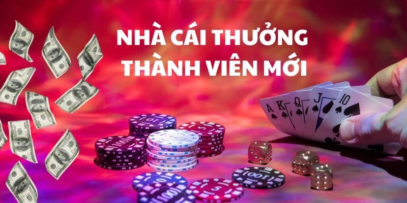 Rất nhiều ưu đãi khuyến mãi đang chờ đón khi tham gia