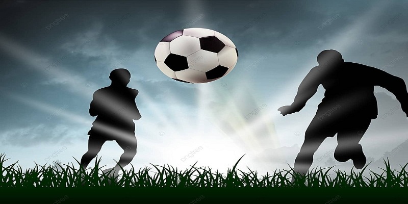 Danh sách các nhà cung cấp uy tín