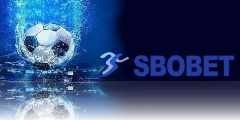 Những sảnh cược đẳng cấp hội tụ tại thể thao Ku88